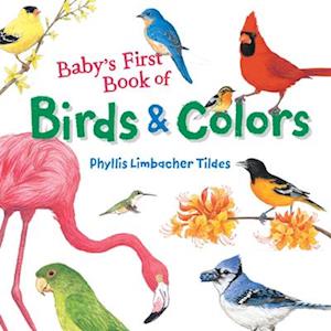 Baby's First Book of Birds & Colors-Phyllis Limbacher Tildes
