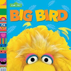 Big Bird (Sesame Street Friends)-Andrea Posner-Sanchez