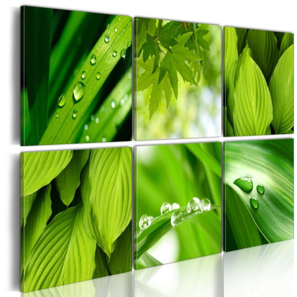 Billede - Fresh green leaves - 120 x 80 cm - Premium Print