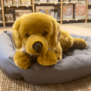 Golden Retriever bamse lys, 60 cm - Teddy Hermann