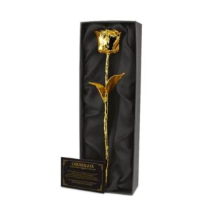 Mikamax 24K Golden Rose - Black Box