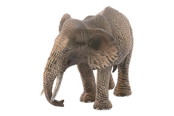 Schleich Wild Life - Afrikansk elefant, hun - Actionfigur