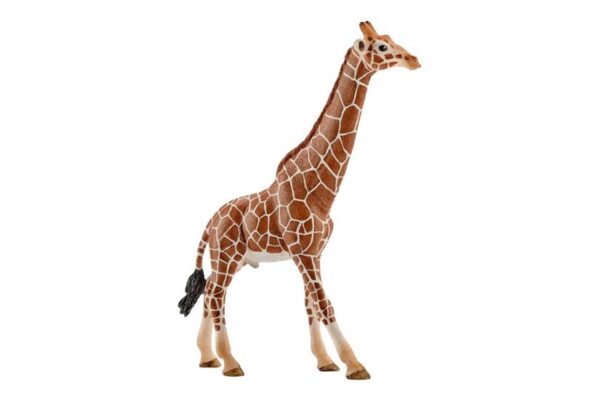 Schleich Wild Life - Giraf han - Actionfigur