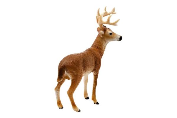 Schleich Wild Life - Hvidhalet buk - Actionfigur