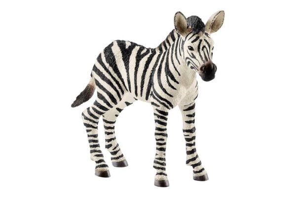 Schleich Wild Life - Zebra Foal - Actionfigur