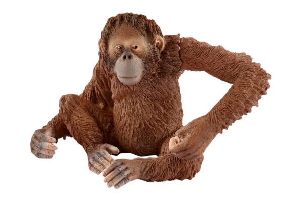 Schleich Wild Life - orangutang - Actionfigur