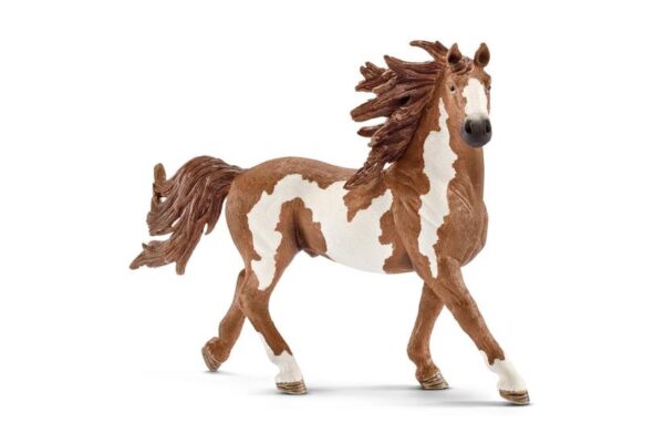 Schleich World of Nature: Farm Life - Pinto-hingst - Actionfigur