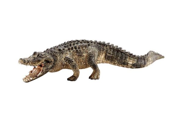 Schleich World of Nature: Wild Life - Alligator - Actionfigur