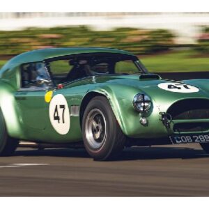 Shelby Cobra 289, Cob289, Bill Shepherd